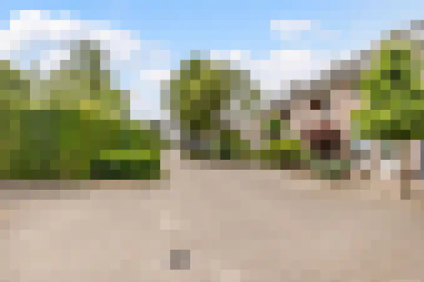 de Biestermannen 5 Heeze thumbnail 54
