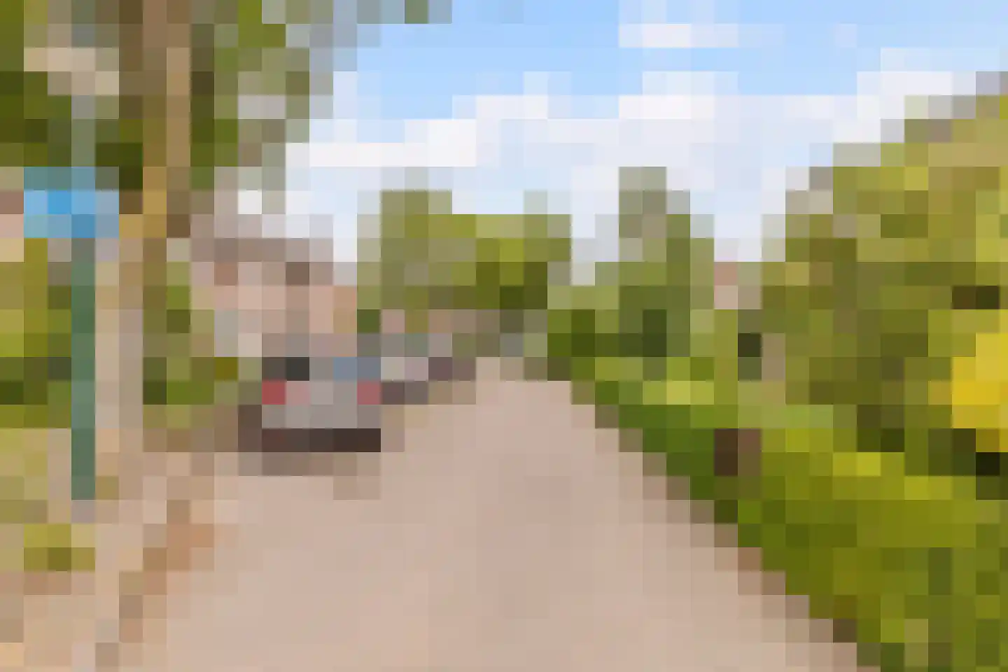 de Biestermannen 5 Heeze thumbnail 55