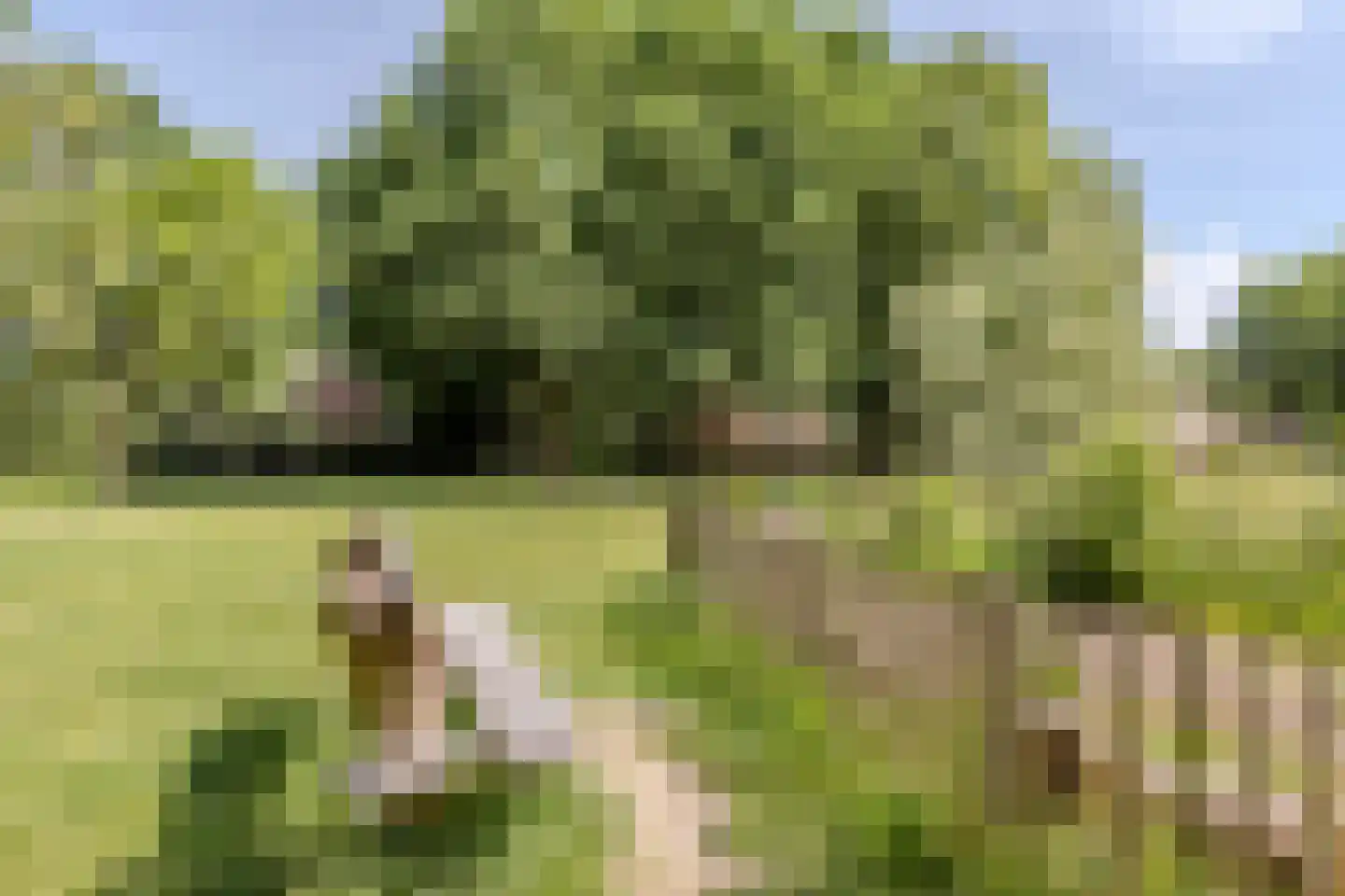 de Biestermannen 5 Heeze thumbnail 56