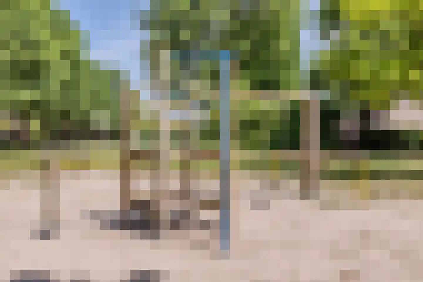de Biestermannen 5 Heeze thumbnail 59