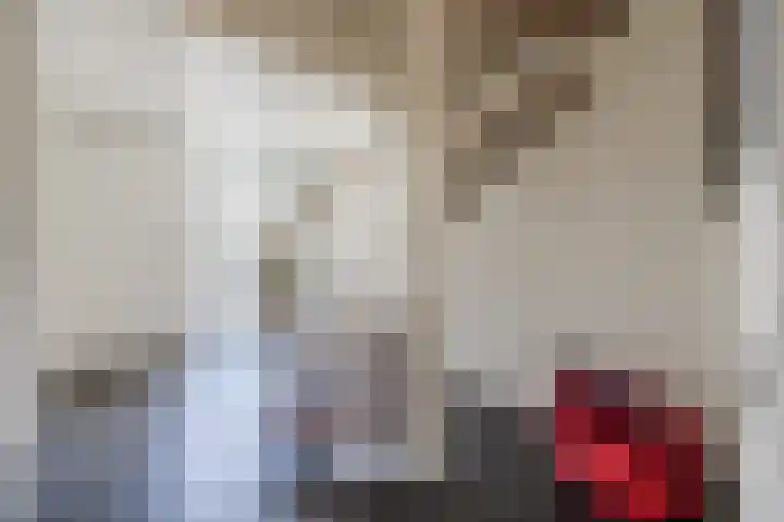 de Biestraat 6 Oud Gastel thumbnail 12