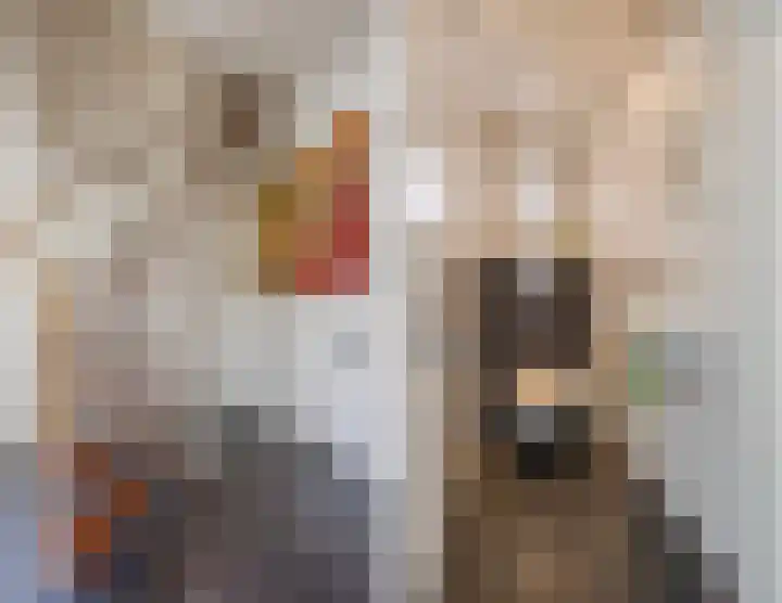 de Biestraat 6 Oud Gastel thumbnail 13