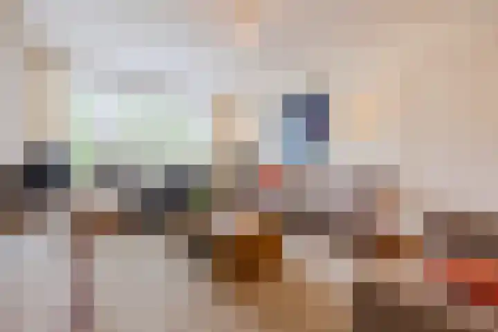de Biestraat 6 Oud Gastel thumbnail 15