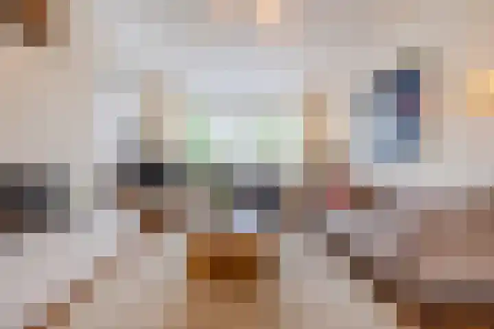 de Biestraat 6 Oud Gastel thumbnail 16