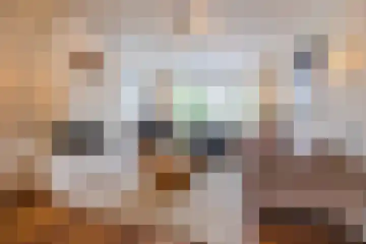 de Biestraat 6 Oud Gastel thumbnail 17