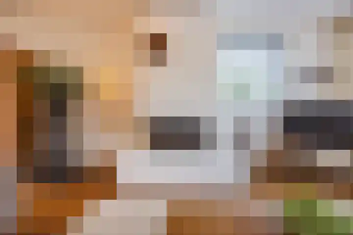 de Biestraat 6 Oud Gastel thumbnail 19