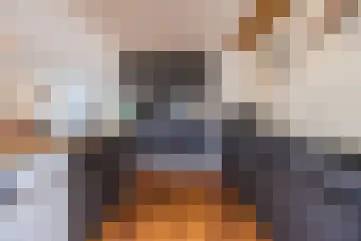 de Biestraat 6 Oud Gastel thumbnail 22