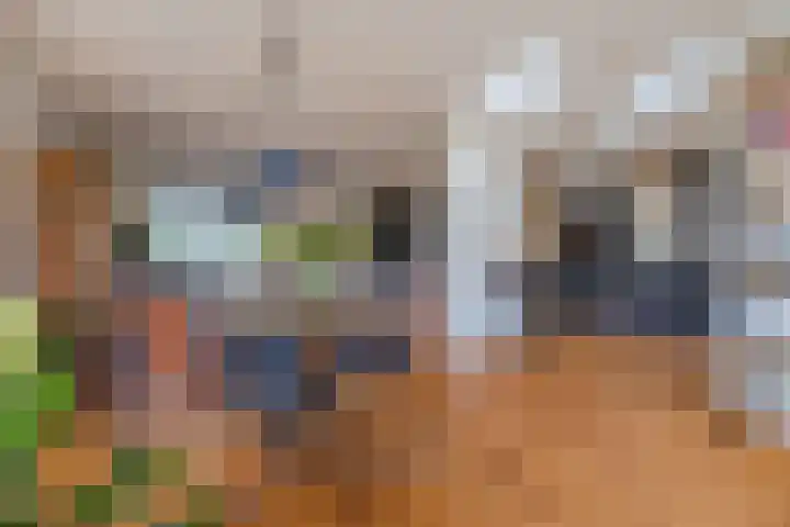de Biestraat 6 Oud Gastel thumbnail 25
