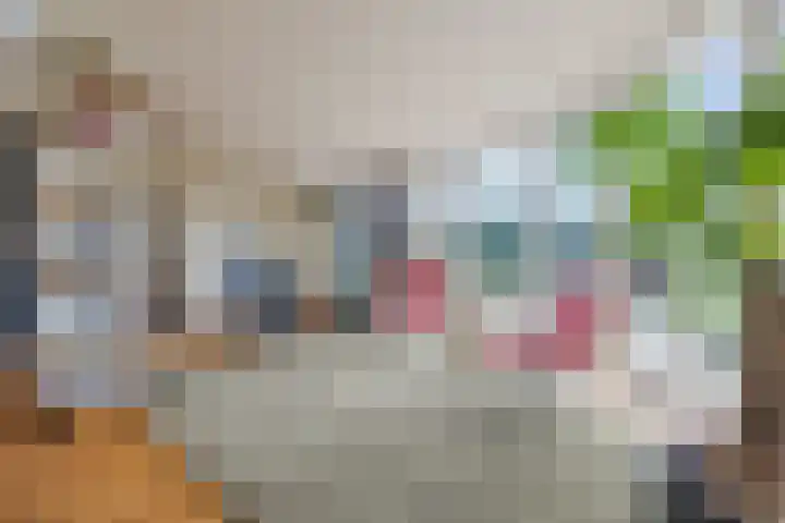 de Biestraat 6 Oud Gastel thumbnail 27