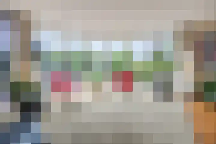 de Biestraat 6 Oud Gastel thumbnail 29