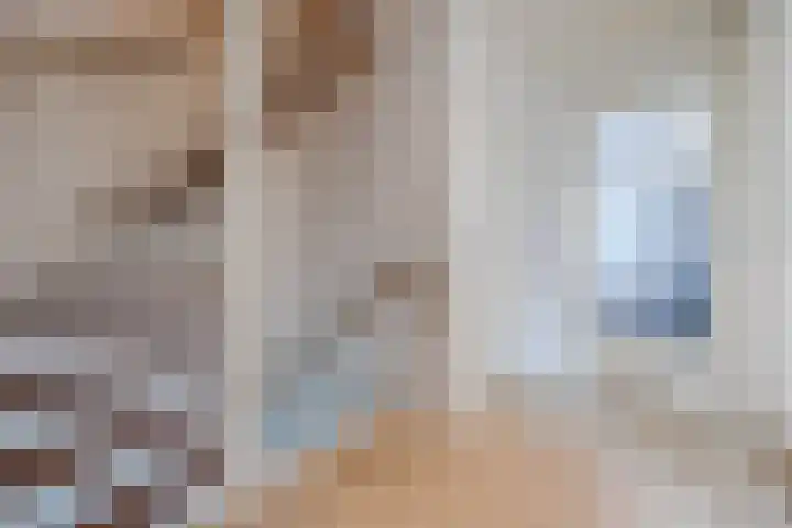 de Biestraat 6 Oud Gastel thumbnail 39