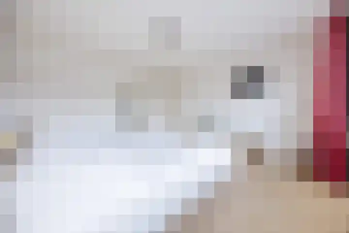 de Biestraat 6 Oud Gastel thumbnail 44