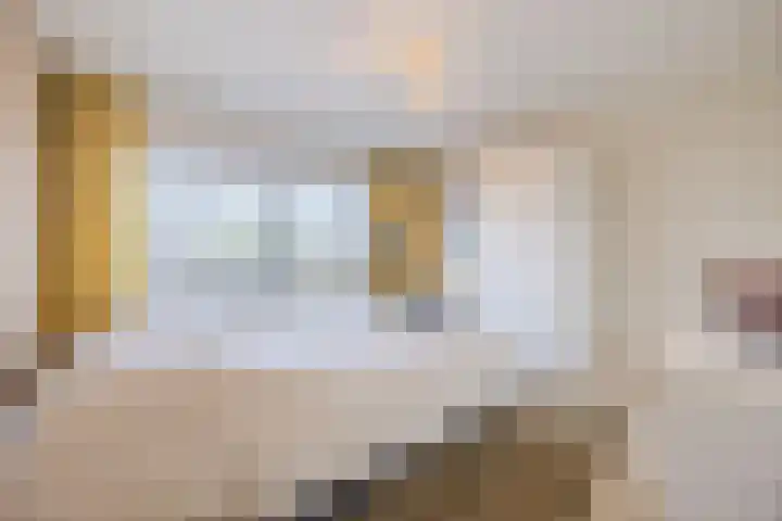 de Biestraat 6 Oud Gastel thumbnail 46