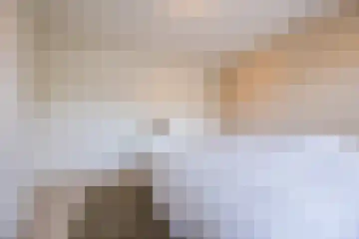 de Biestraat 6 Oud Gastel thumbnail 47