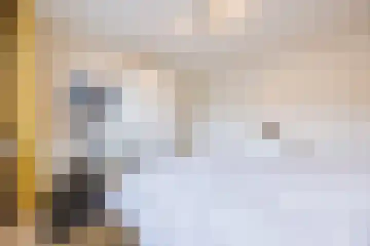 de Biestraat 6 Oud Gastel thumbnail 48