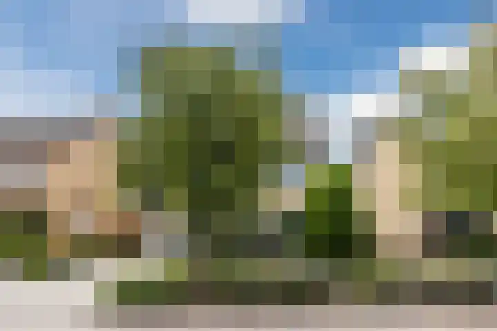 de Biestraat 6 Oud Gastel thumbnail 5