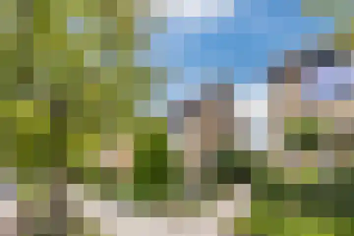 de Biestraat 6 Oud Gastel thumbnail 6