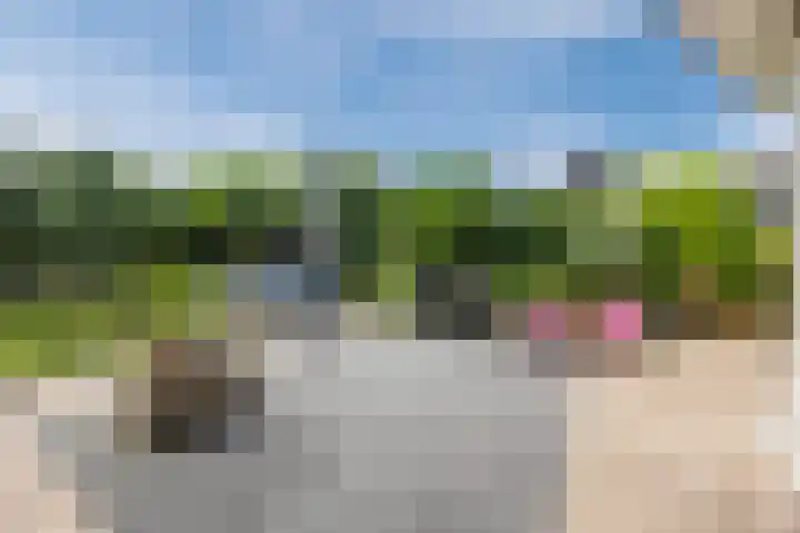 de Biestraat 6 Oud Gastel thumbnail 64