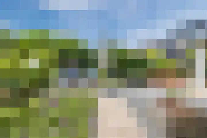 de Biestraat 6 Oud Gastel thumbnail 65