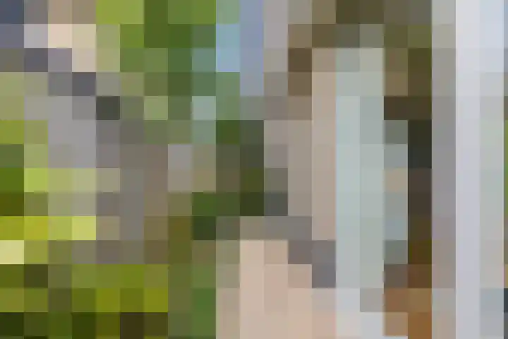 de Biestraat 6 Oud Gastel thumbnail 68