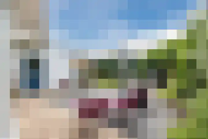 de Biestraat 6 Oud Gastel thumbnail 70