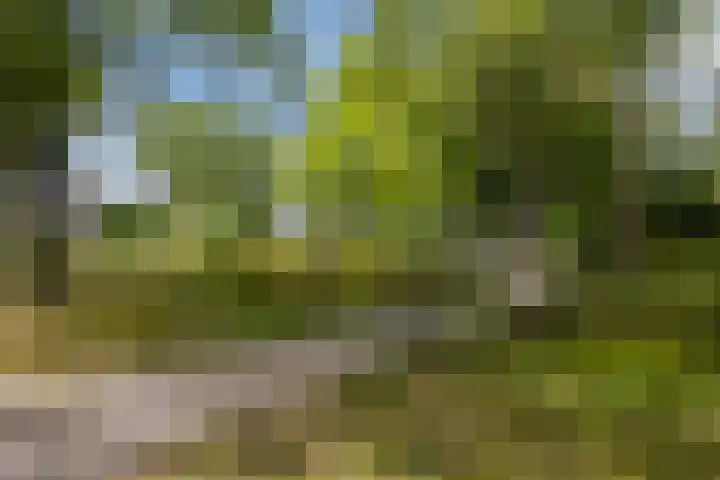 de Biestraat 6 Oud Gastel thumbnail 74