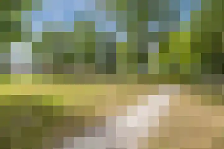 de Biestraat 6 Oud Gastel thumbnail 75