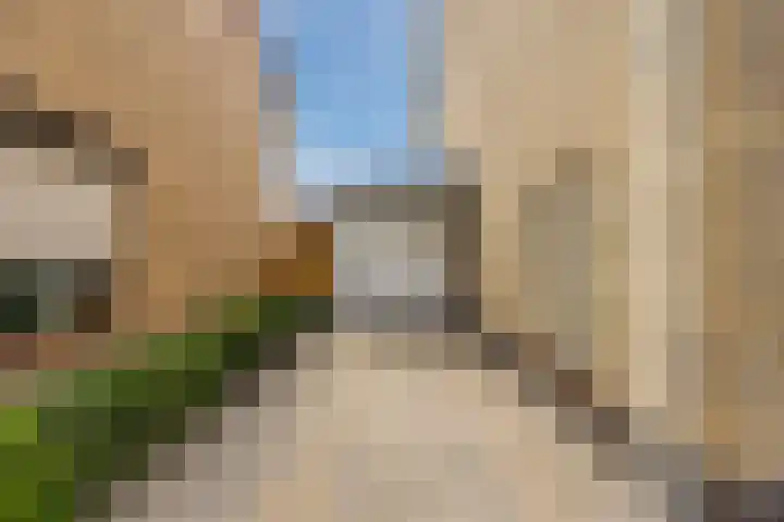 de Biestraat 6 Oud Gastel thumbnail 9