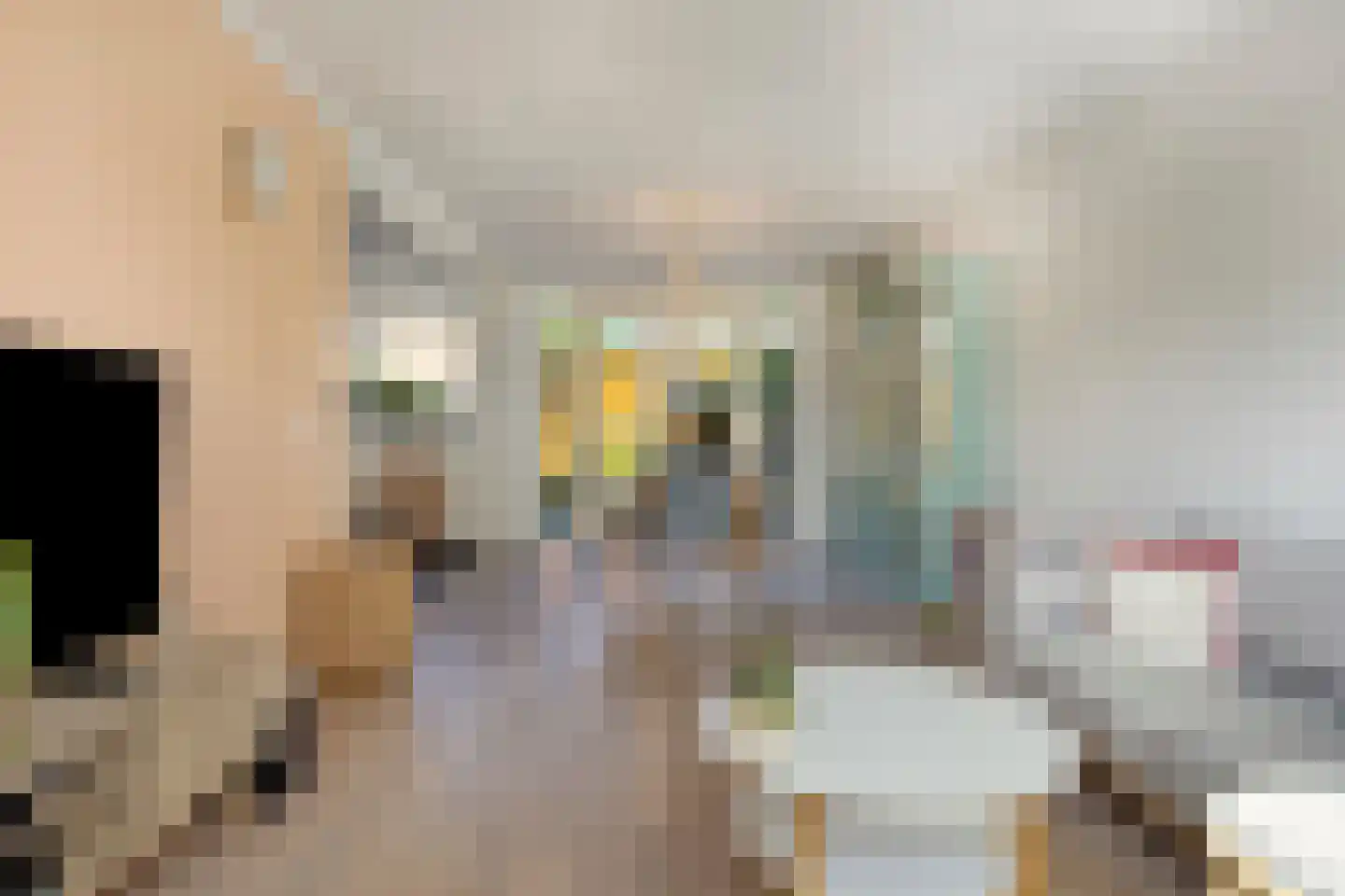 De Biezen 19 Schaijk thumbnail 11