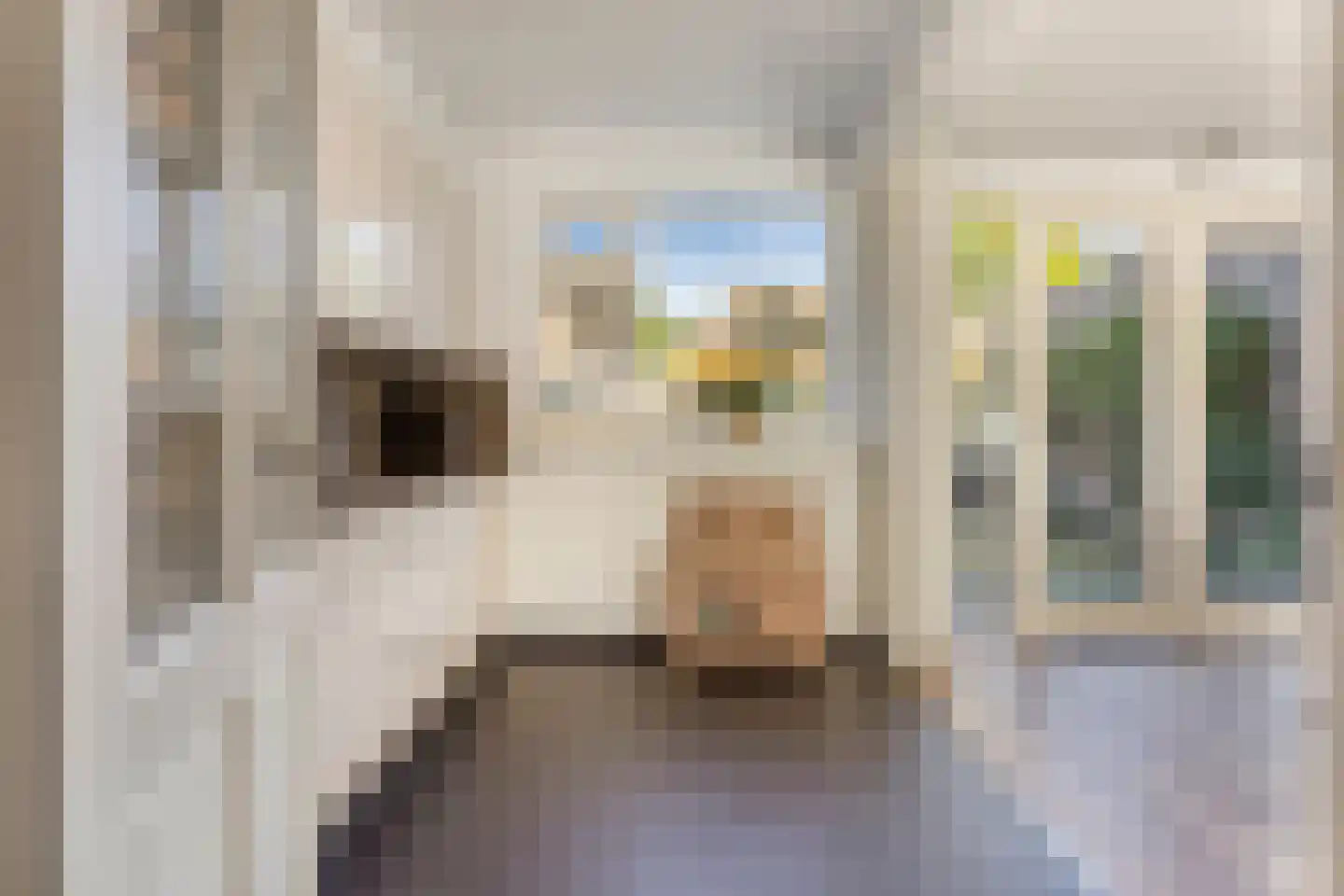 De Biezen 19 Schaijk thumbnail 12