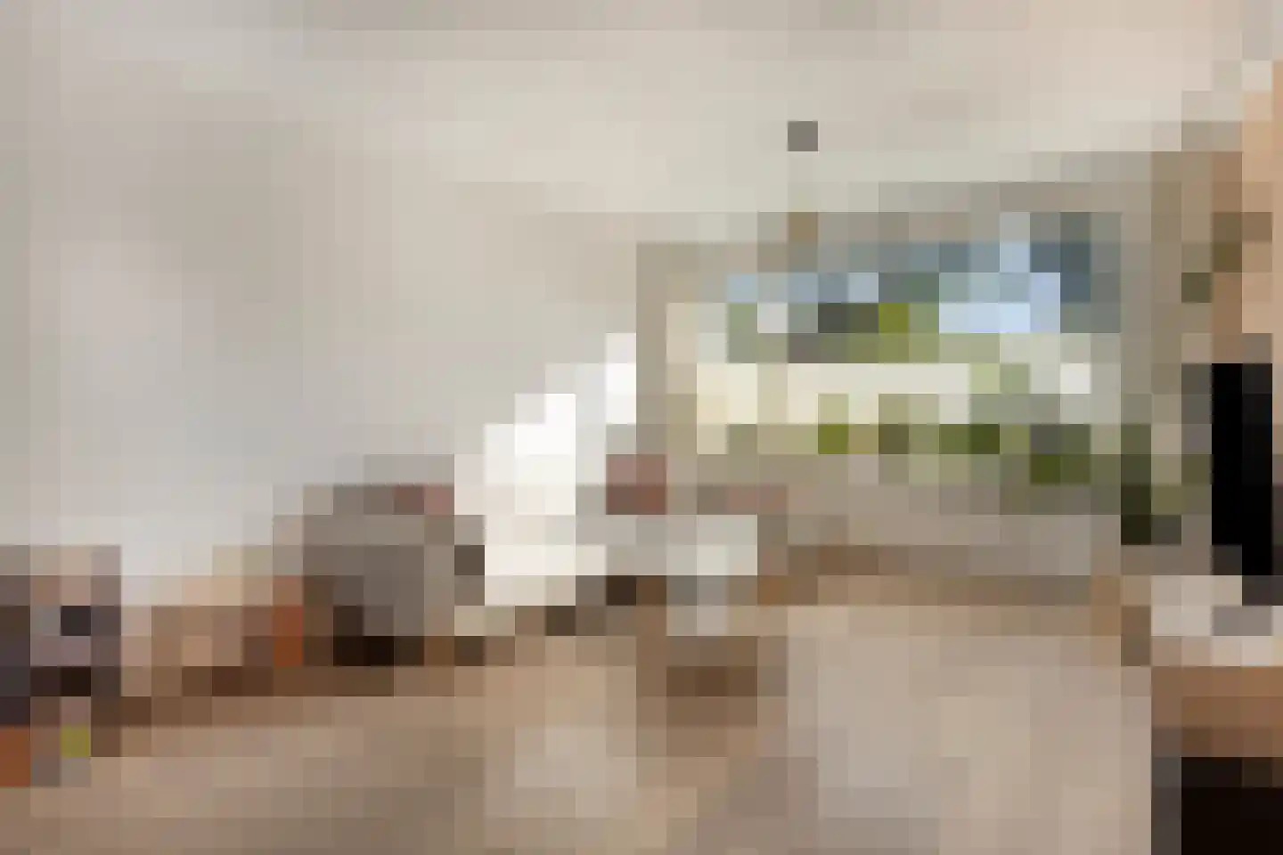 De Biezen 19 Schaijk thumbnail 14