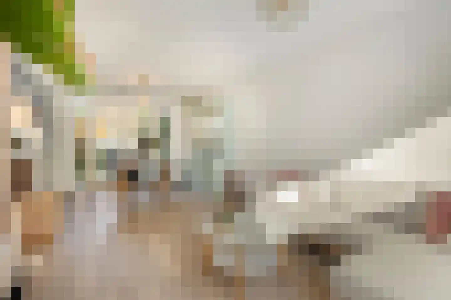 De Biezen 19 Schaijk thumbnail 15