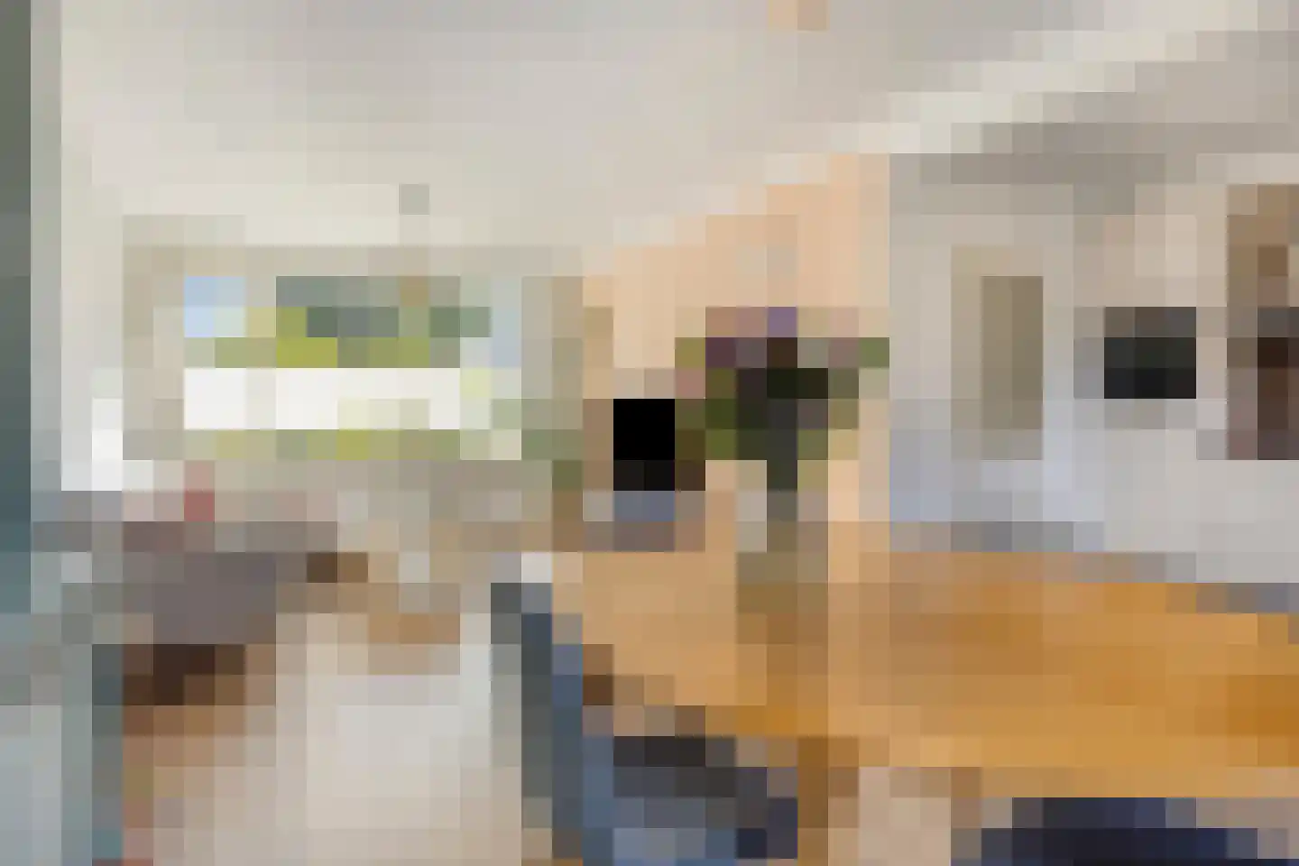 De Biezen 19 Schaijk thumbnail 16