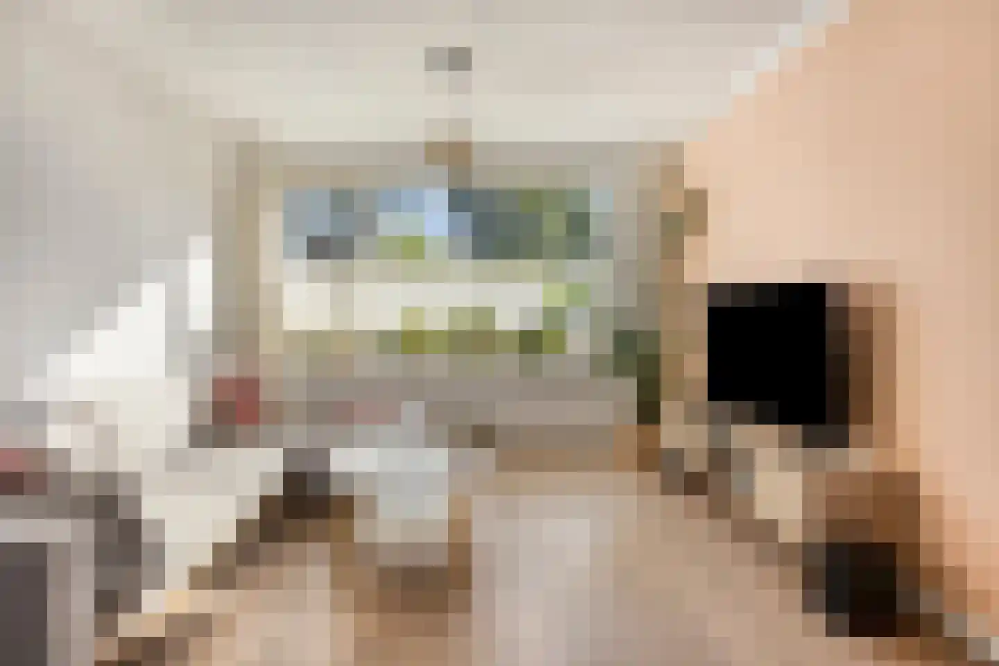De Biezen 19 Schaijk thumbnail 21