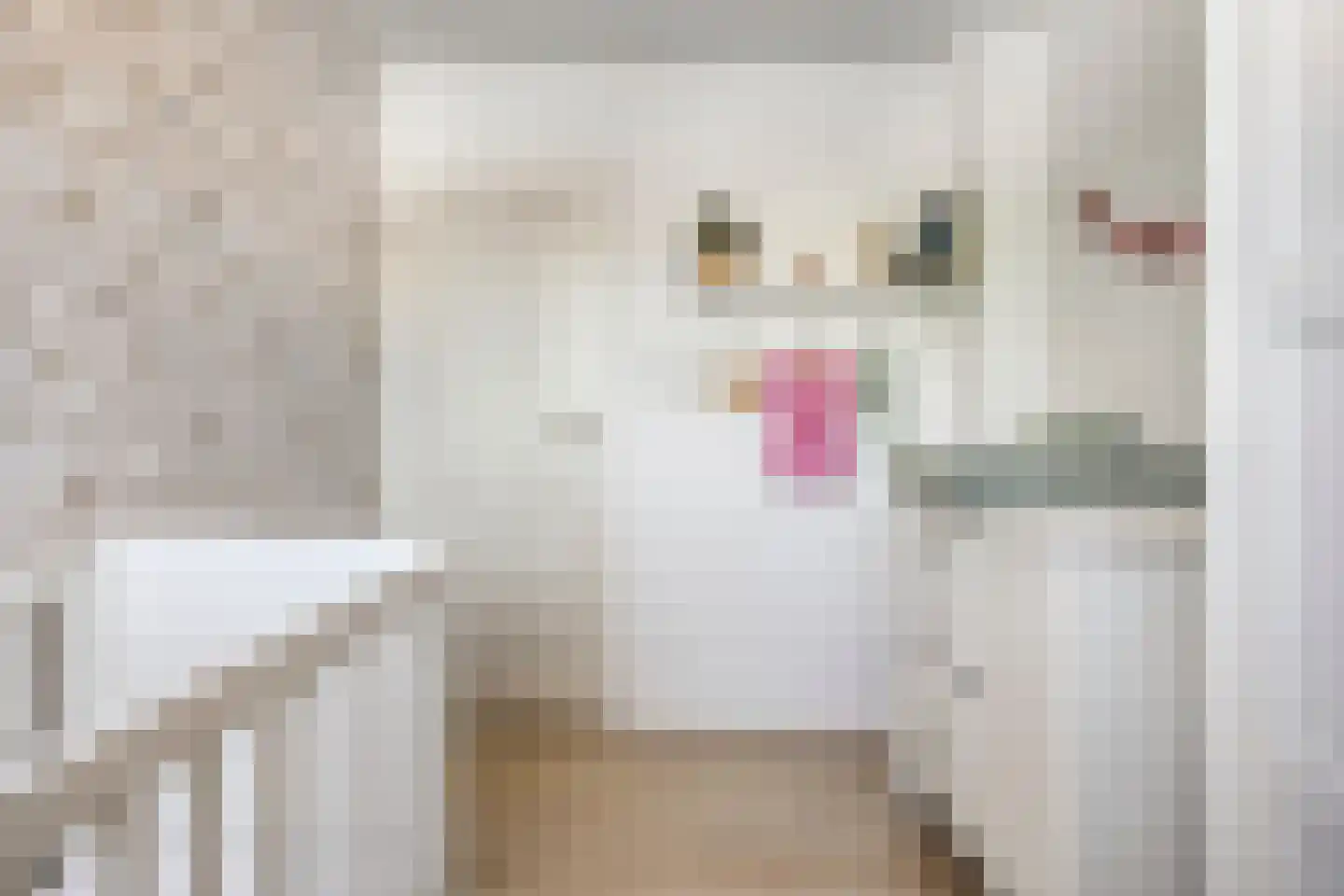 De Biezen 19 Schaijk thumbnail 22