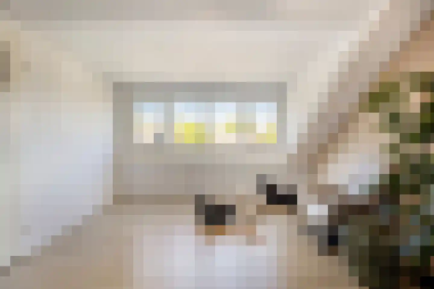 De Biezen 19 Schaijk thumbnail 35