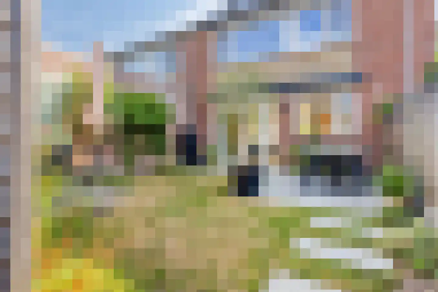 De Biezen 19 Schaijk thumbnail 38