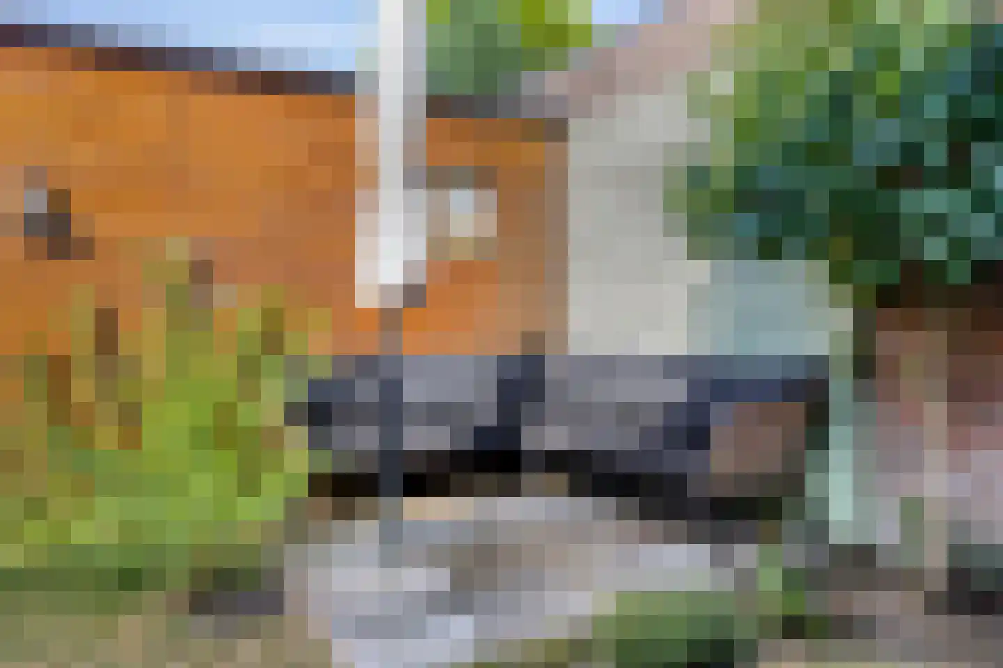 De Biezen 19 Schaijk thumbnail 39