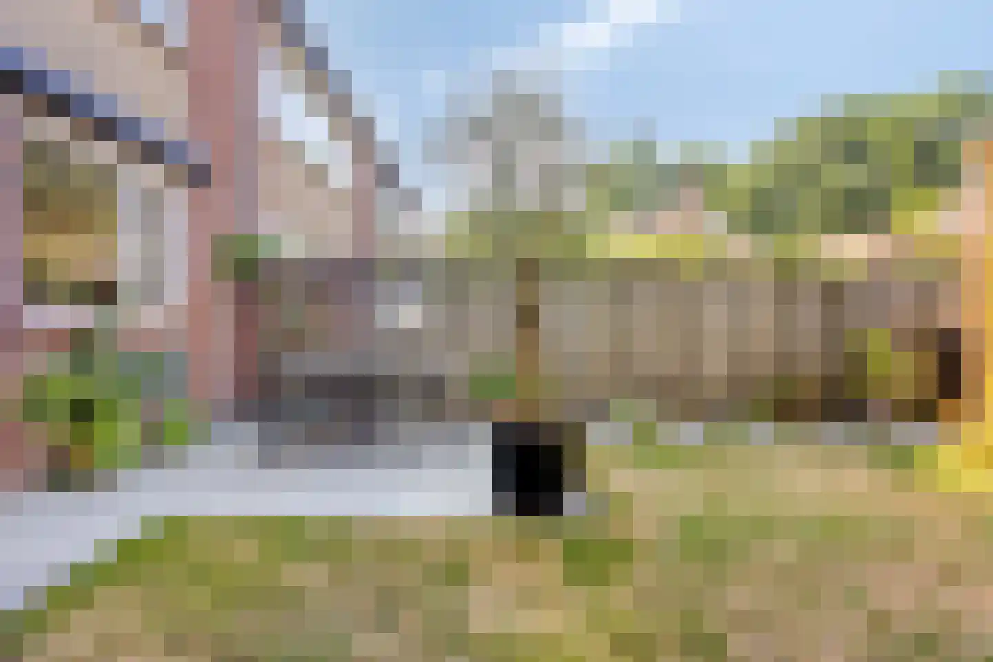 De Biezen 19 Schaijk thumbnail 40