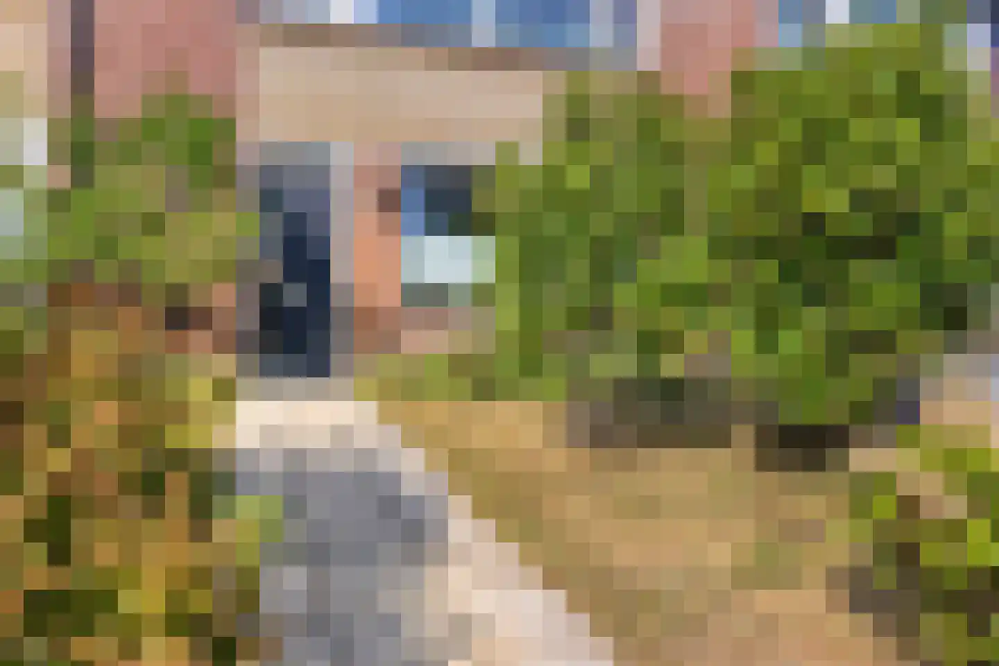 De Biezen 19 Schaijk thumbnail 44