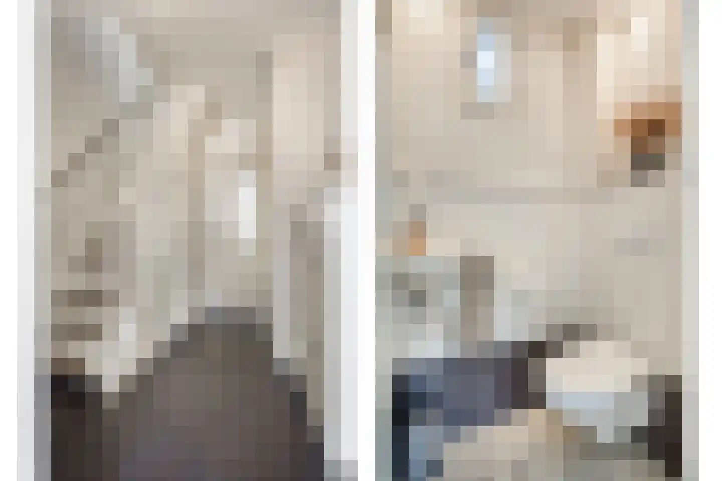 De Biezen 19 Schaijk thumbnail 6
