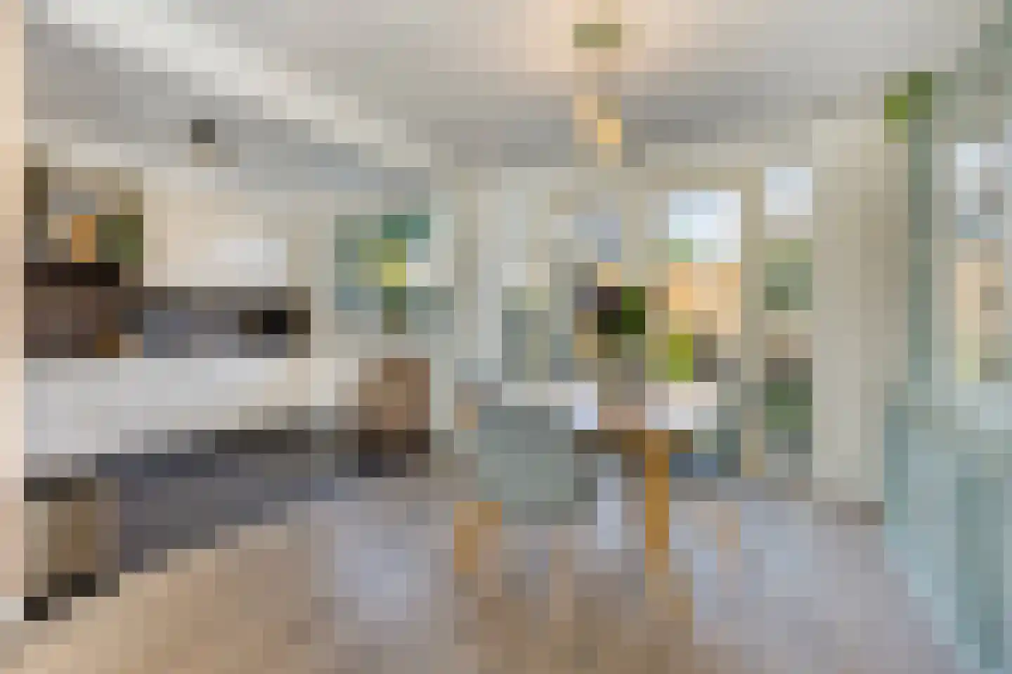 De Biezen 19 Schaijk thumbnail 9
