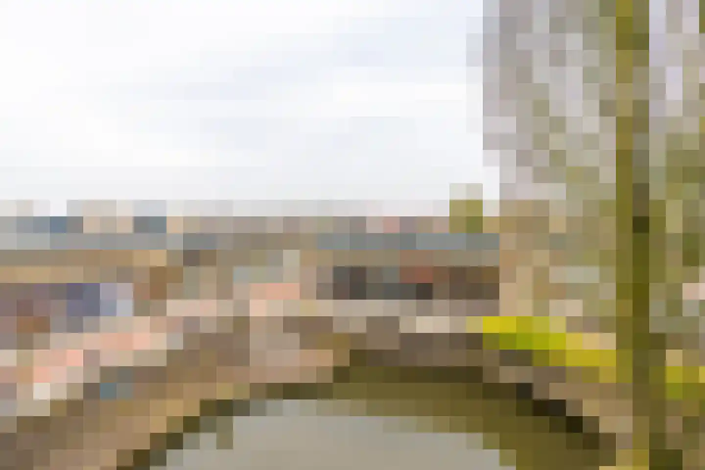 de Biezen 22 IJsselstein thumbnail 26