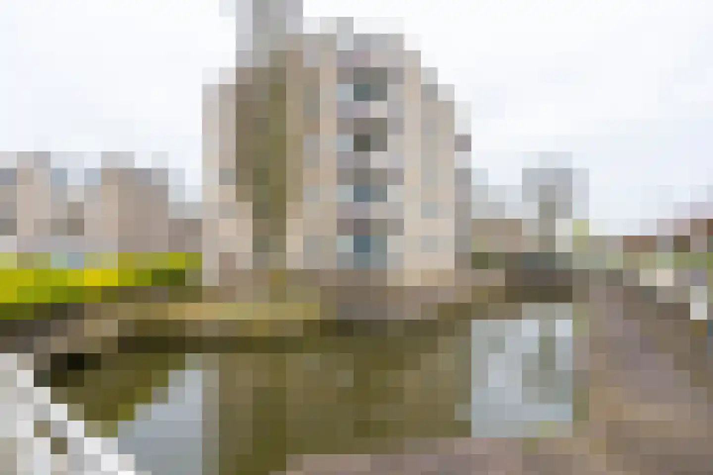 de Biezen 22 IJsselstein thumbnail 39