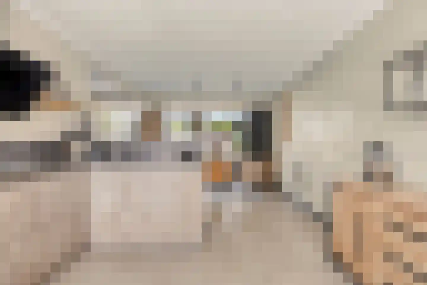 De Biezen 23 Schaijk thumbnail 13