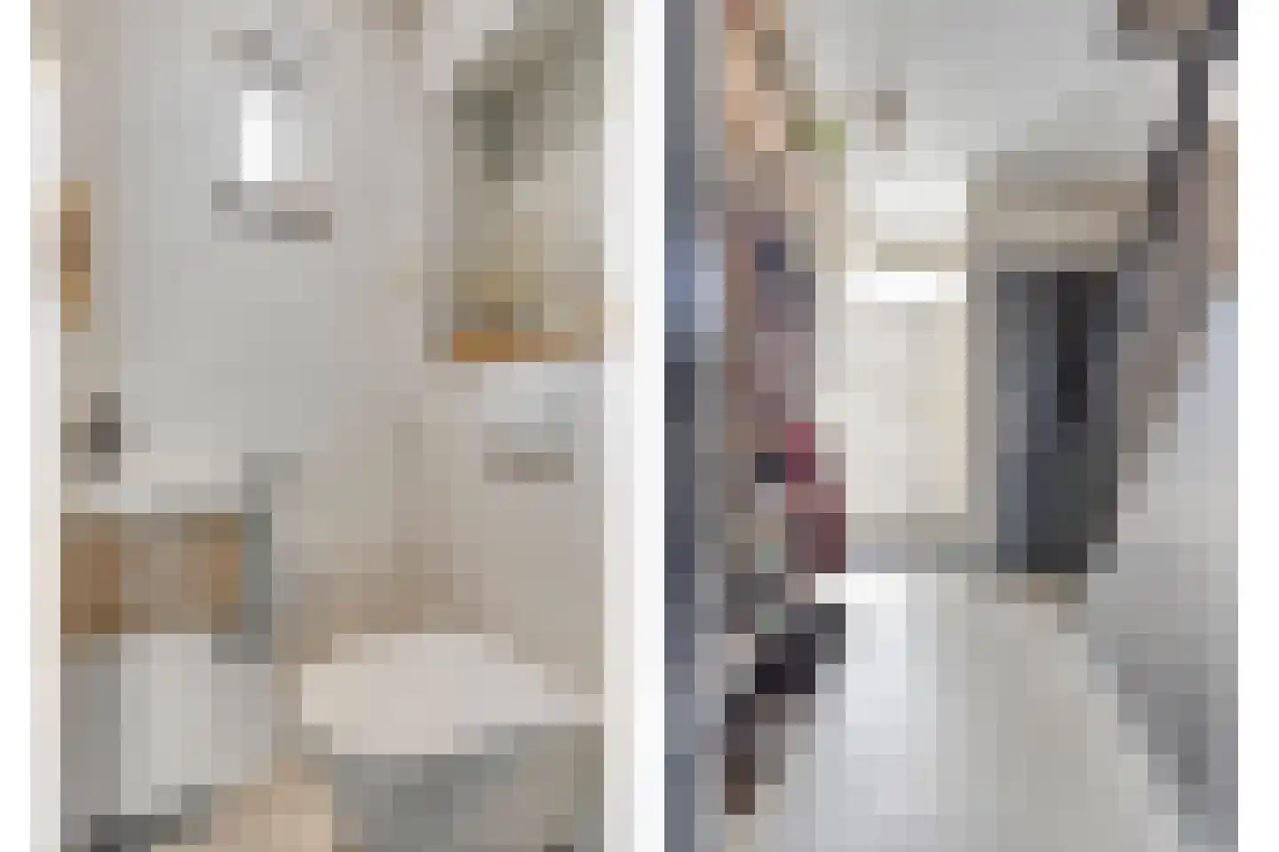 De Biezen 23 Schaijk thumbnail 20
