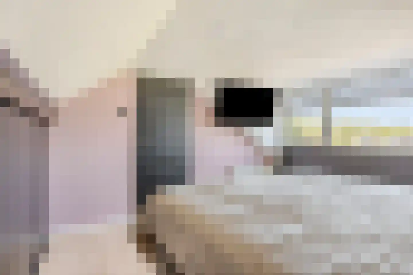 De Biezen 23 Schaijk thumbnail 32