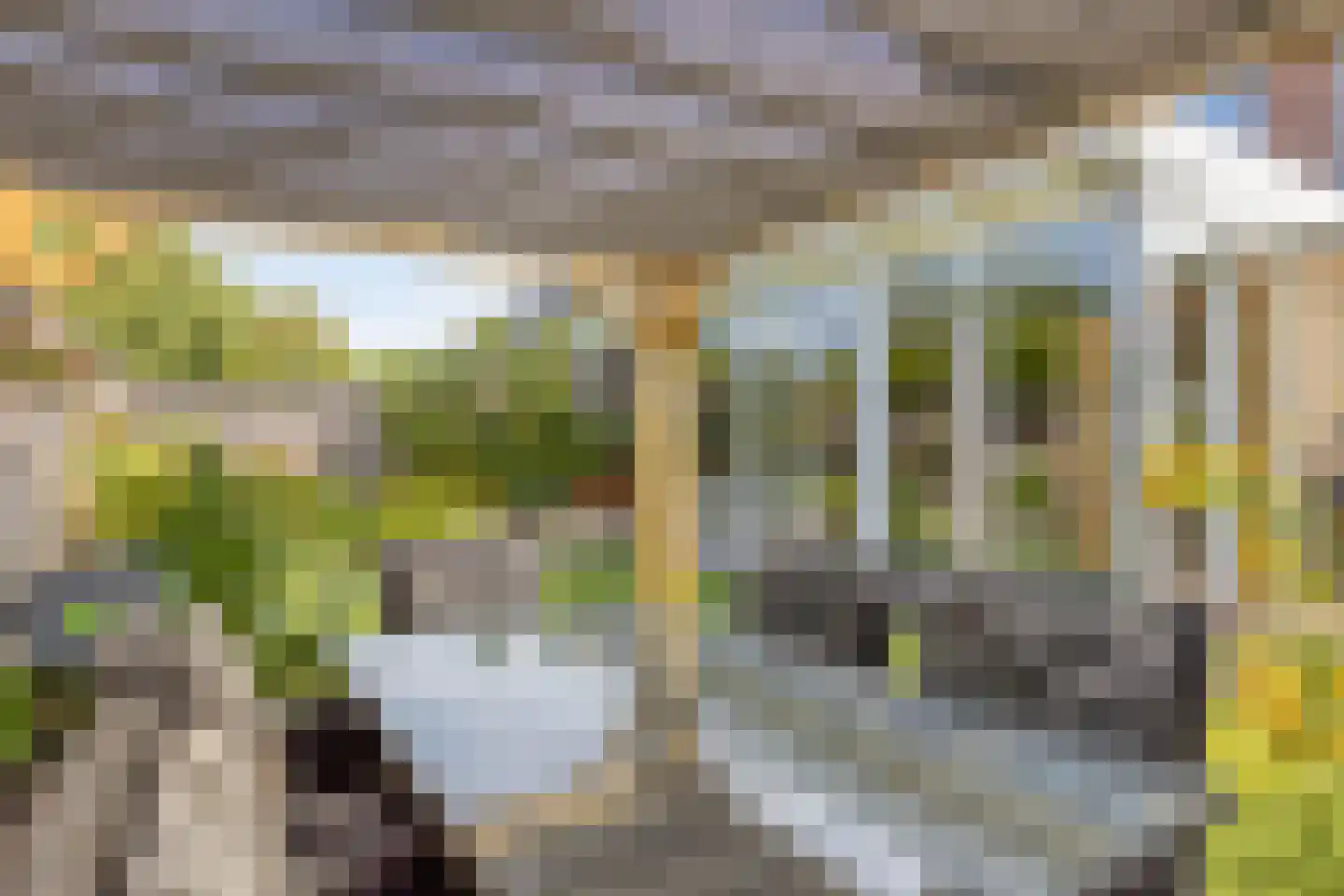 De Biezen 23 Schaijk thumbnail 35