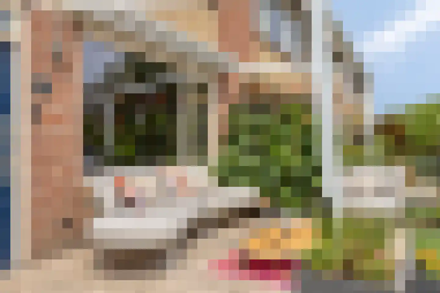 De Biezen 23 Schaijk thumbnail 41