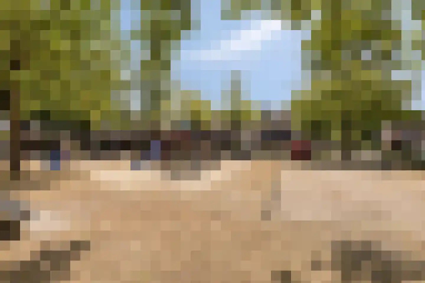De Biezen 23 Schaijk thumbnail 45
